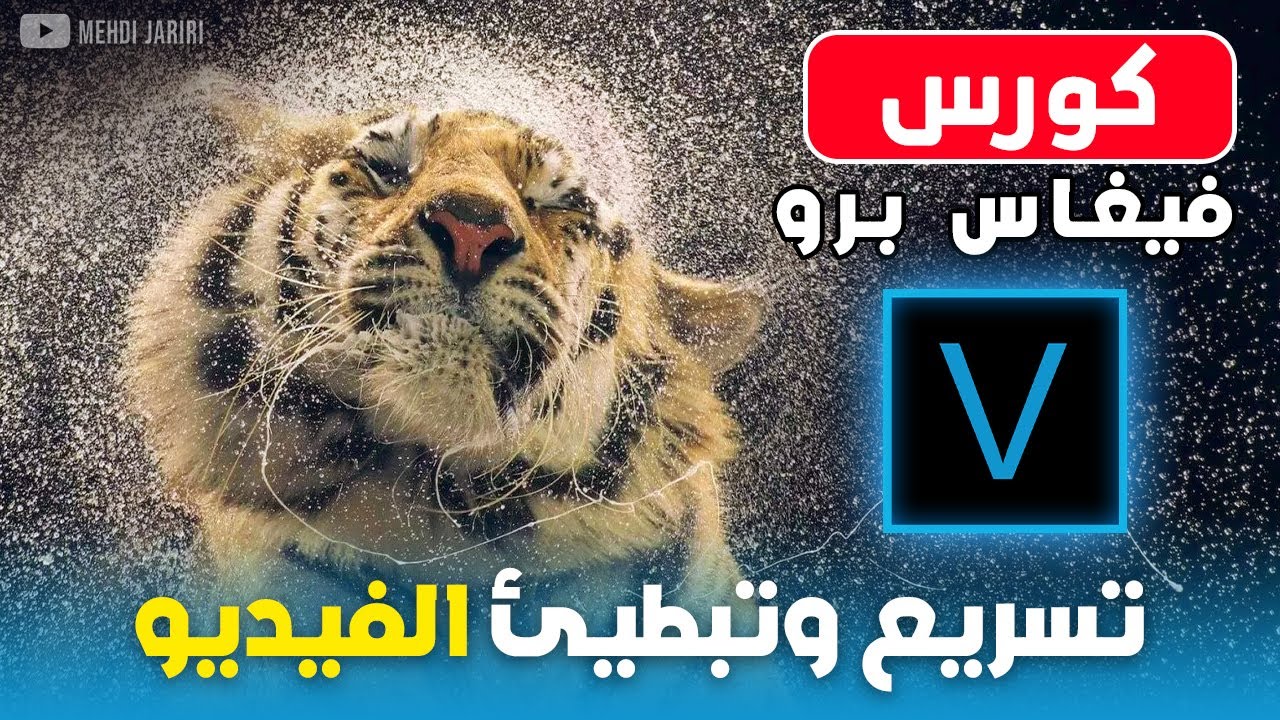 تسريع وتبطيء وعكس الفيديو في السوني فيغاس برو باحترافية