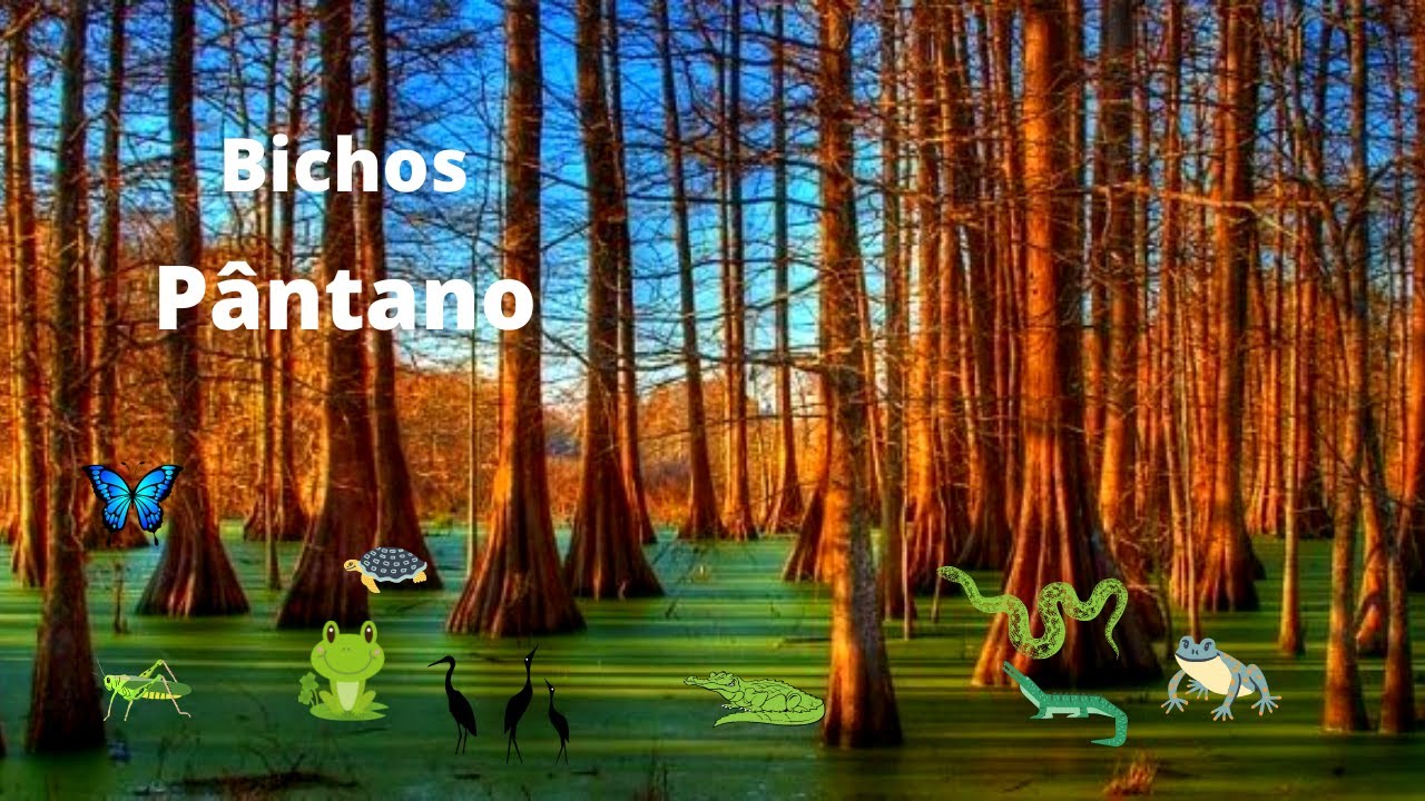 🔊Som e Efeito de P&acirc;ntano para fundo de jogos (HD)