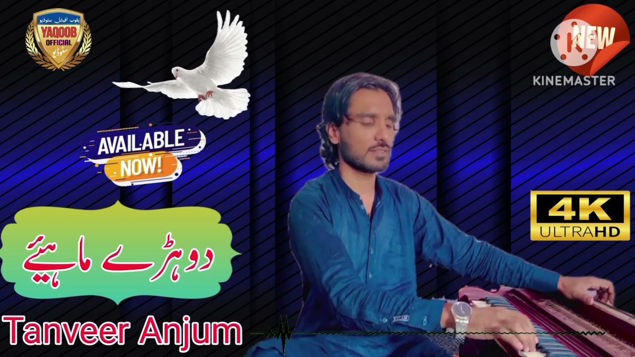 Dohray Mahiye | Tanveer Anjum | Jog | New Saraiki Song 2024 | Yaqoob Official Studio