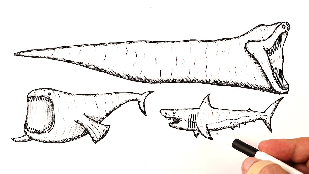How to draw a El Gran Maja, Bloop, Megalodon