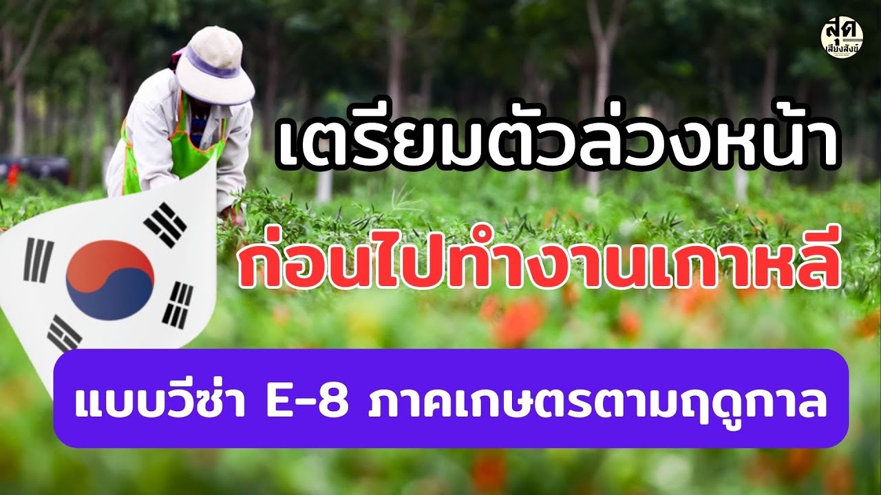 เตรียมตัวล่วงหน้าก่อนไปทำงานเกาหลีแบบวีซ่า E-8 ภาคเกษตรตามฤดูกาล ปี66