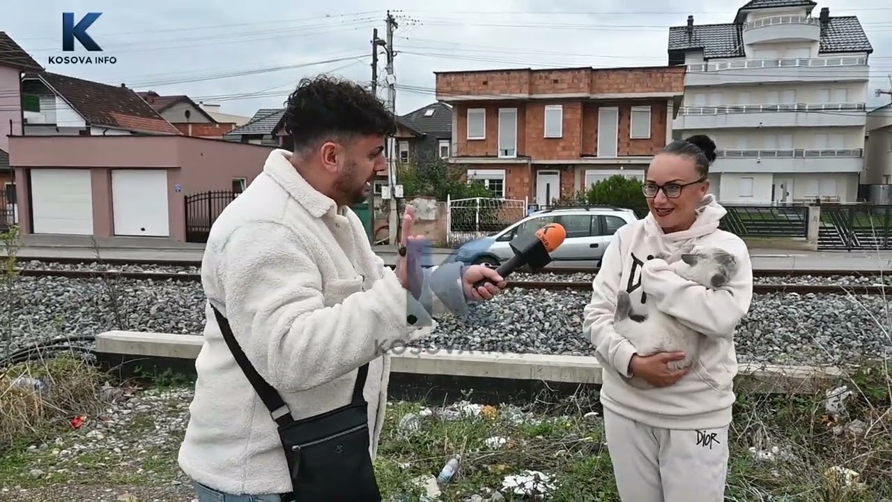 Ngjarje tronditëse në Kosovë, mace me vlerë 6,000 € hidhet në autostradë!