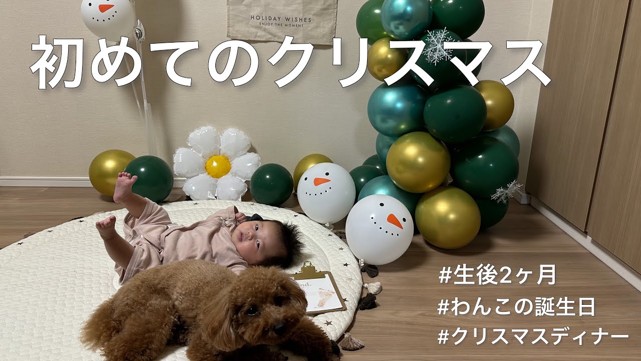 【クリスマスvlog】生後2ヶ月赤ちゃんと初めてのクリスマス⭐︎わんちゃんの誕生日お祝いも‼︎｜クリスマスプレゼント｜クリスマスディナー