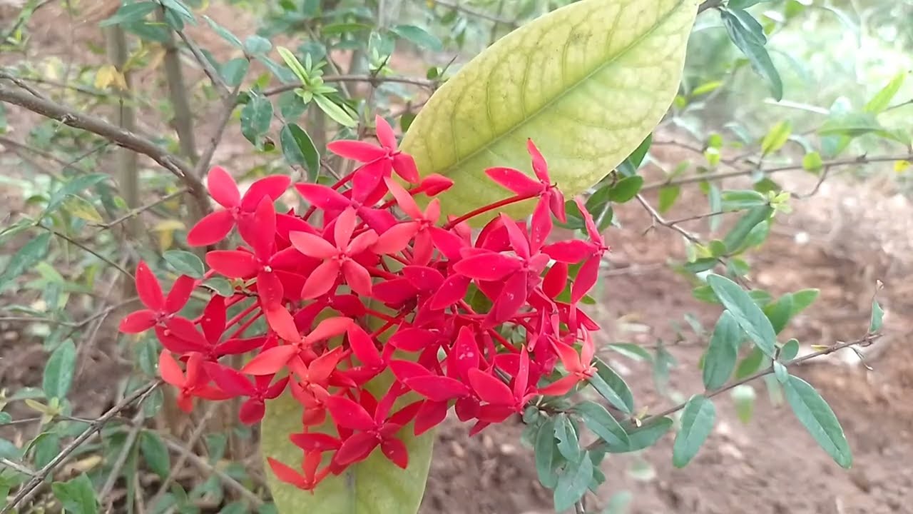  கார்த்திக் ரேவதி அதிரடியான திடீர் முடிவு