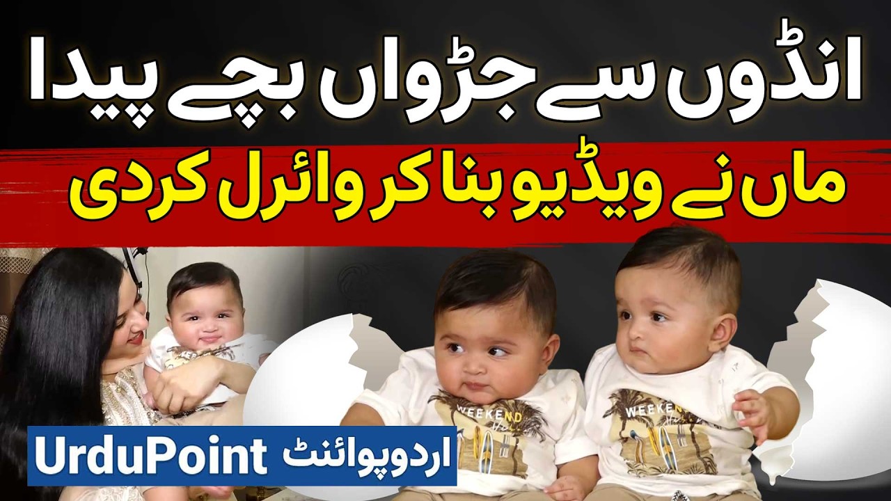 TikToker Shahveer And Shahmeer - Maa Ne 2 Eggs Bistar Par Rakhe Aur Dono Twins Babies Ban Gaye
