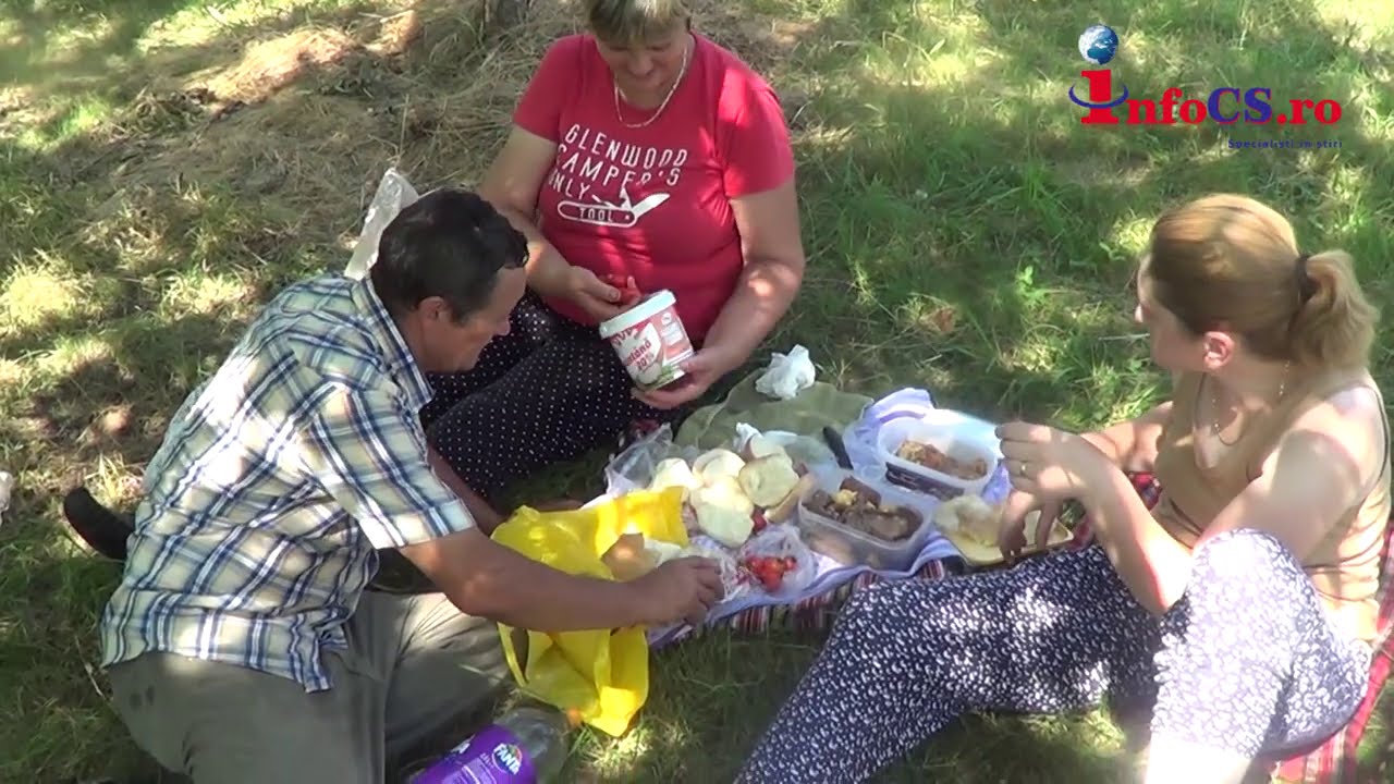 Prune de vara din belsug in Banatul Montan la Lapusnicu Mare
