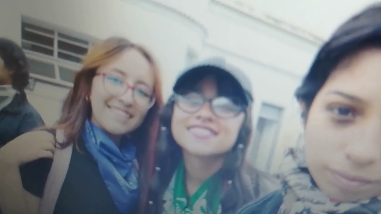 Articulo 20