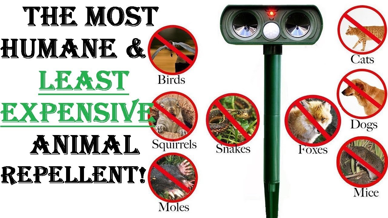 Best Animal Repellent Available! Solar Powered & Ultrasonic Waves For a Clear Garden