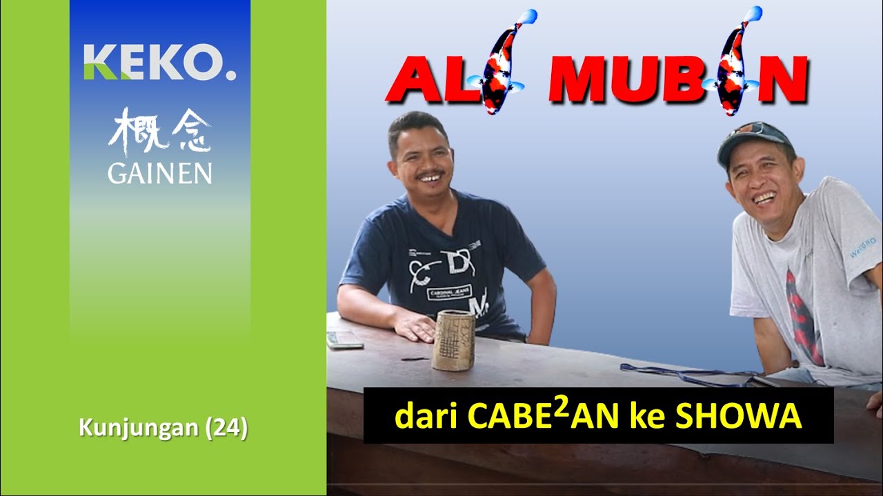 MUBIN KOI FARM BLITAR | dari Petani Cabe ke Petani Koi | Kunjungan (24)