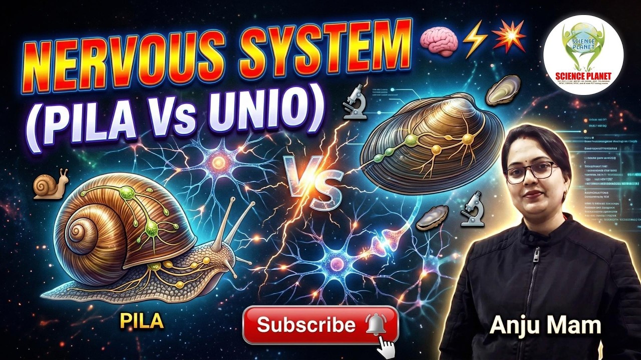 🧠 Nervous System in Pila vs Unio | Mollusca Comparison 🐌 Competitive Biology
