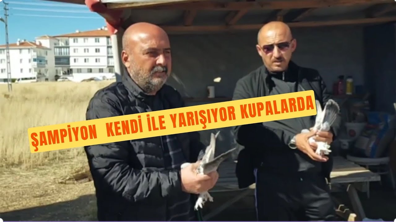 Yarışlarda Kendi İle Yarışan Kupa Canavarı Bu Kuşlar Kaçmaz Her Zaman Denk Gelmez