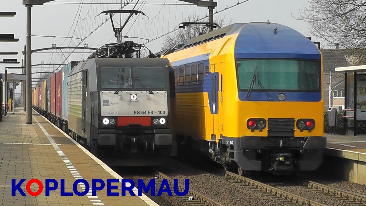DDZ halteert en goederentrein komt door station Helmond 't Hout!