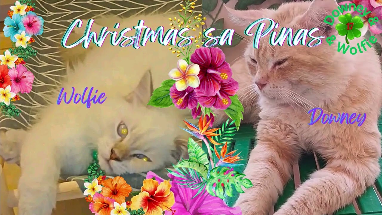 Christmas Sa Pinas