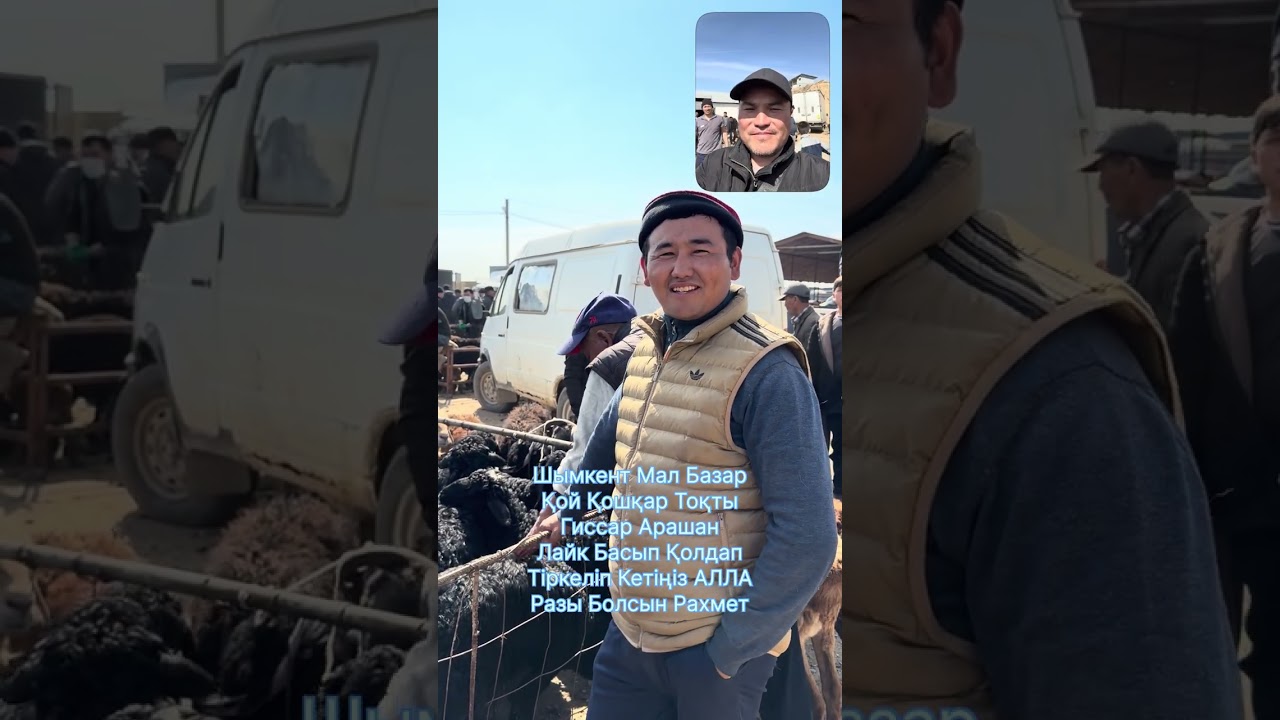 Шымкент Мал Базар Қой Қошқар Тоқты Қозы 18.03.2026