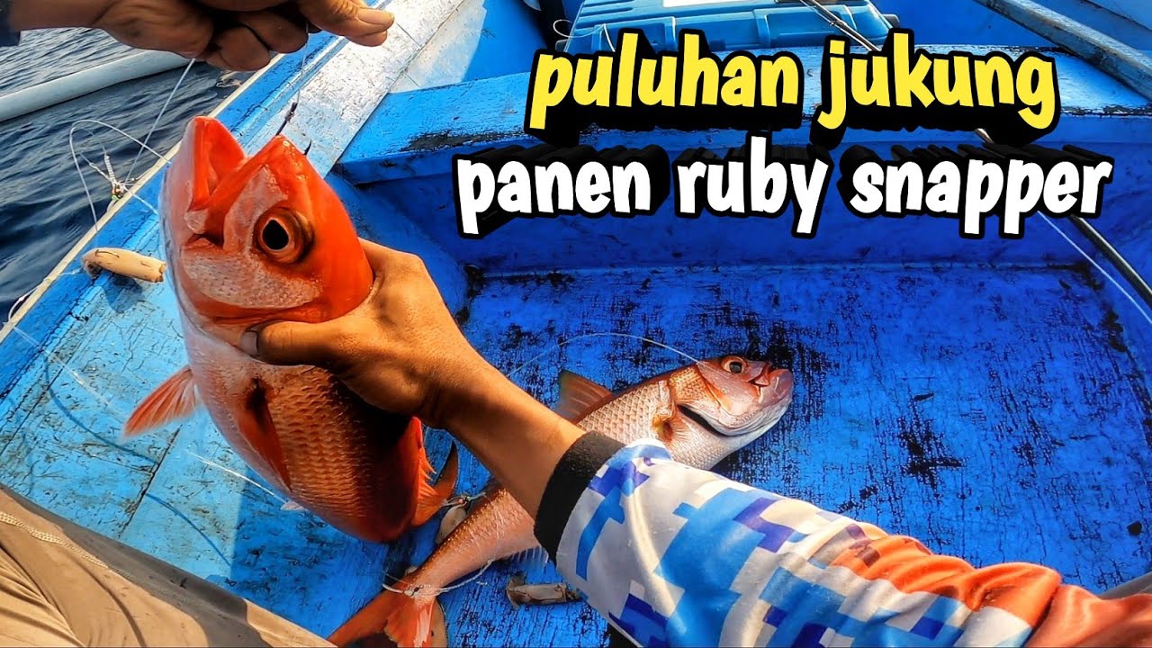 Keseruan mancing dasaran di spot laut dalam kepulauan lombok ntb - full strike ikan kurisi 