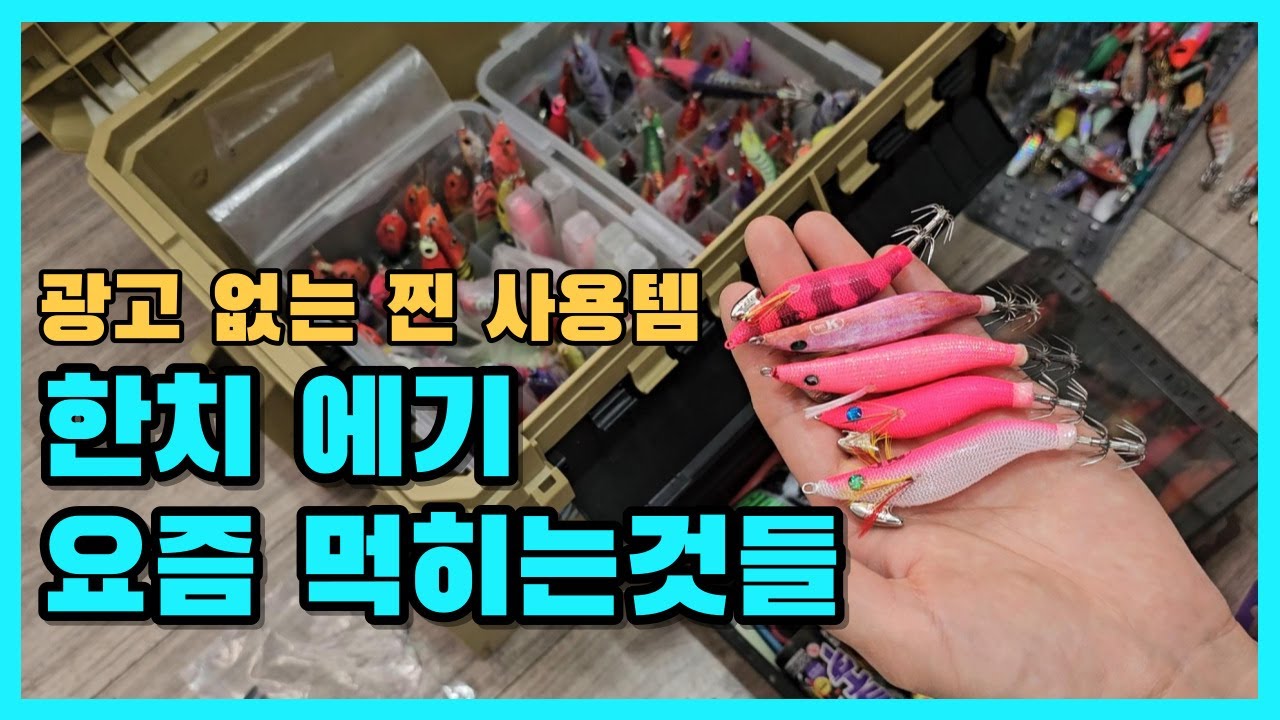 15회 넘게 출조다녀온 한치낚시 잘먹히는 에기는? 찐 태클박스 공개합니다