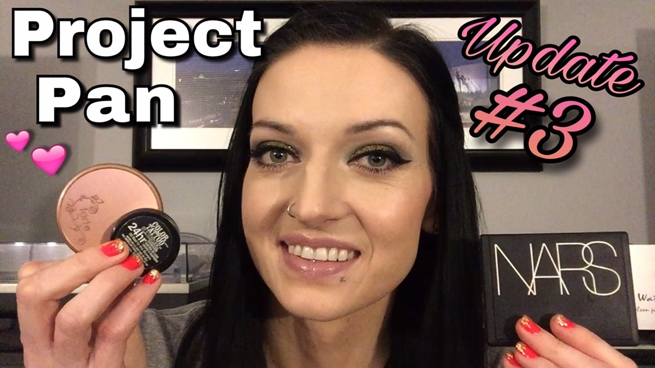 Project 20 Pan 2017 - Update #3