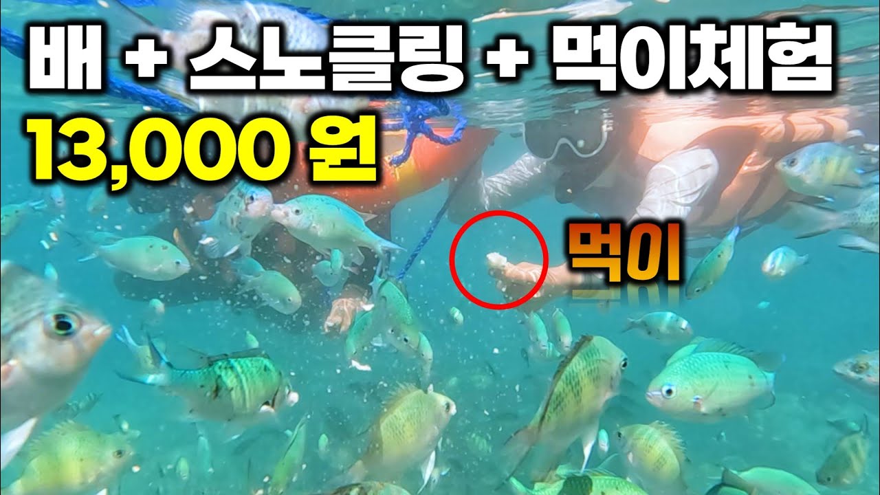 🇵🇭 세부 오슬롭 자유여행 가서 1.3만원 쓰고 스노클링 최고를 경험하다 - 필리핀 한달 여행 [18] / 세부여행 / 투말록폭포 / 수밀론섬 / 고래상어 / 추비추비