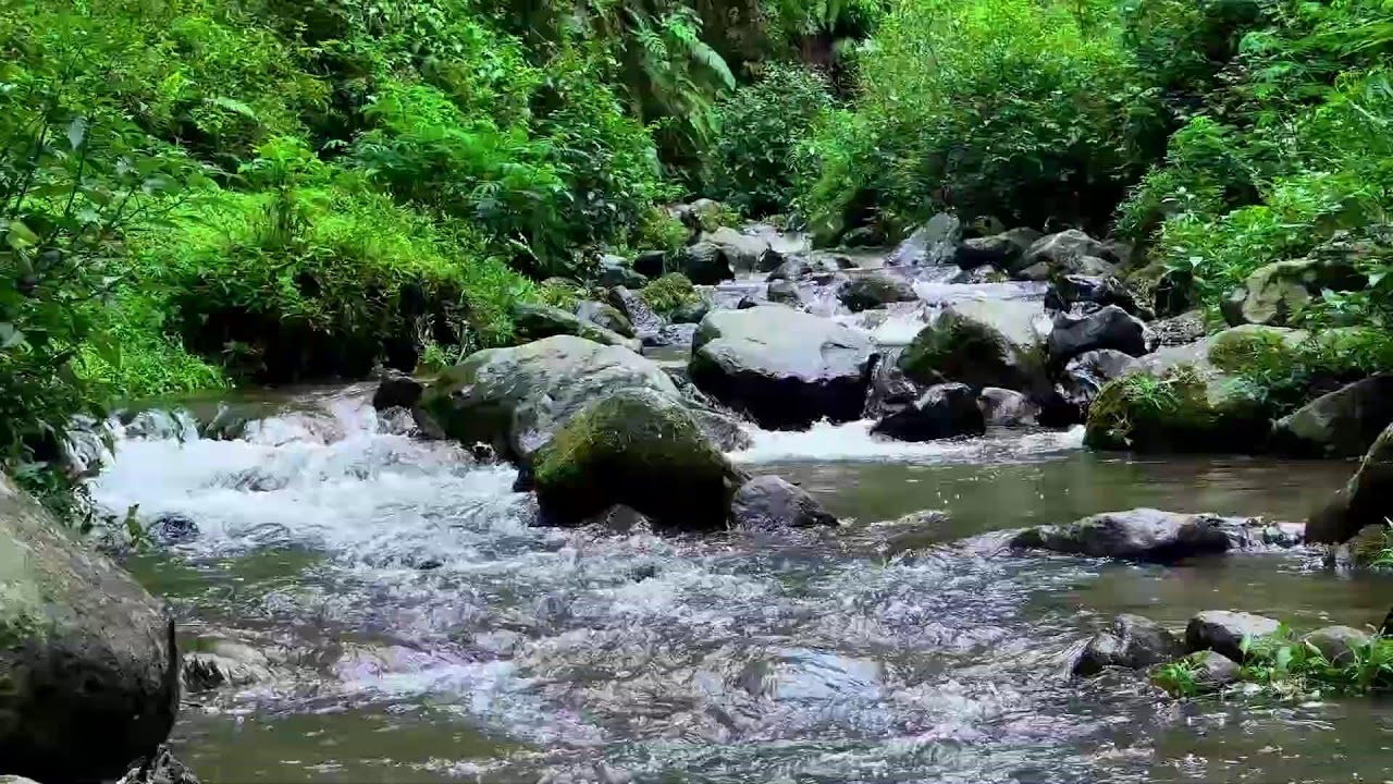 Gentle river relaxation under moonlit forest sky guiding the mind into long deep sleep recovery