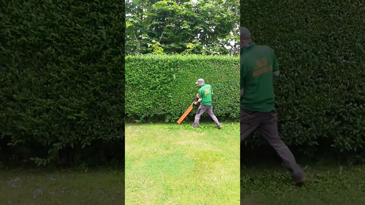 🌿 Garden glow up 💚 super satisfying makeover  #shorts 🌲✨