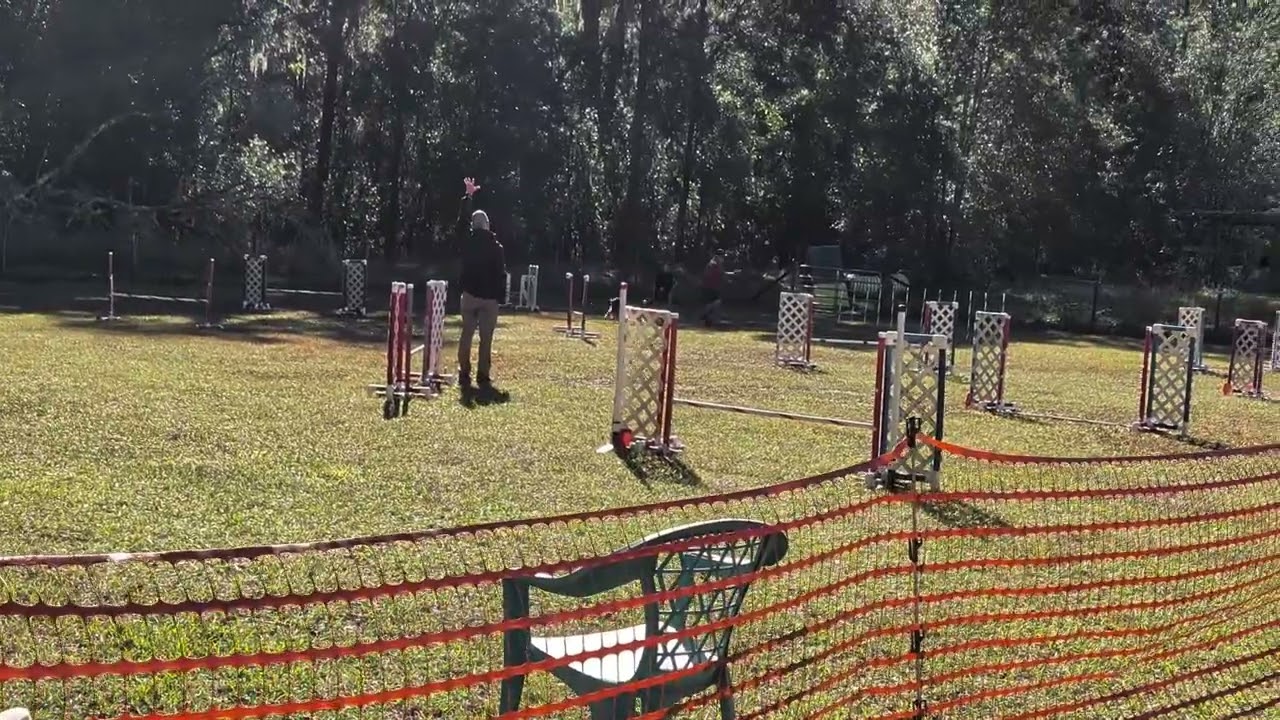 Ginger Brooksville 11/14/25