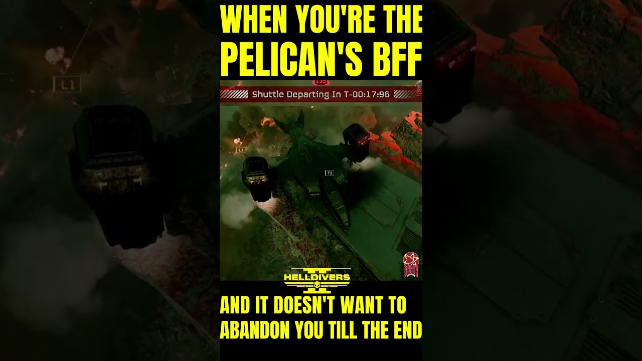 THE PELICAN IS YOUR BEST FRIEND