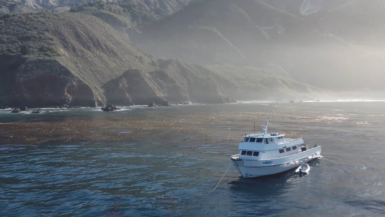 Experiment.com: Kelp Forest Restoration and Monitoring using Community Science