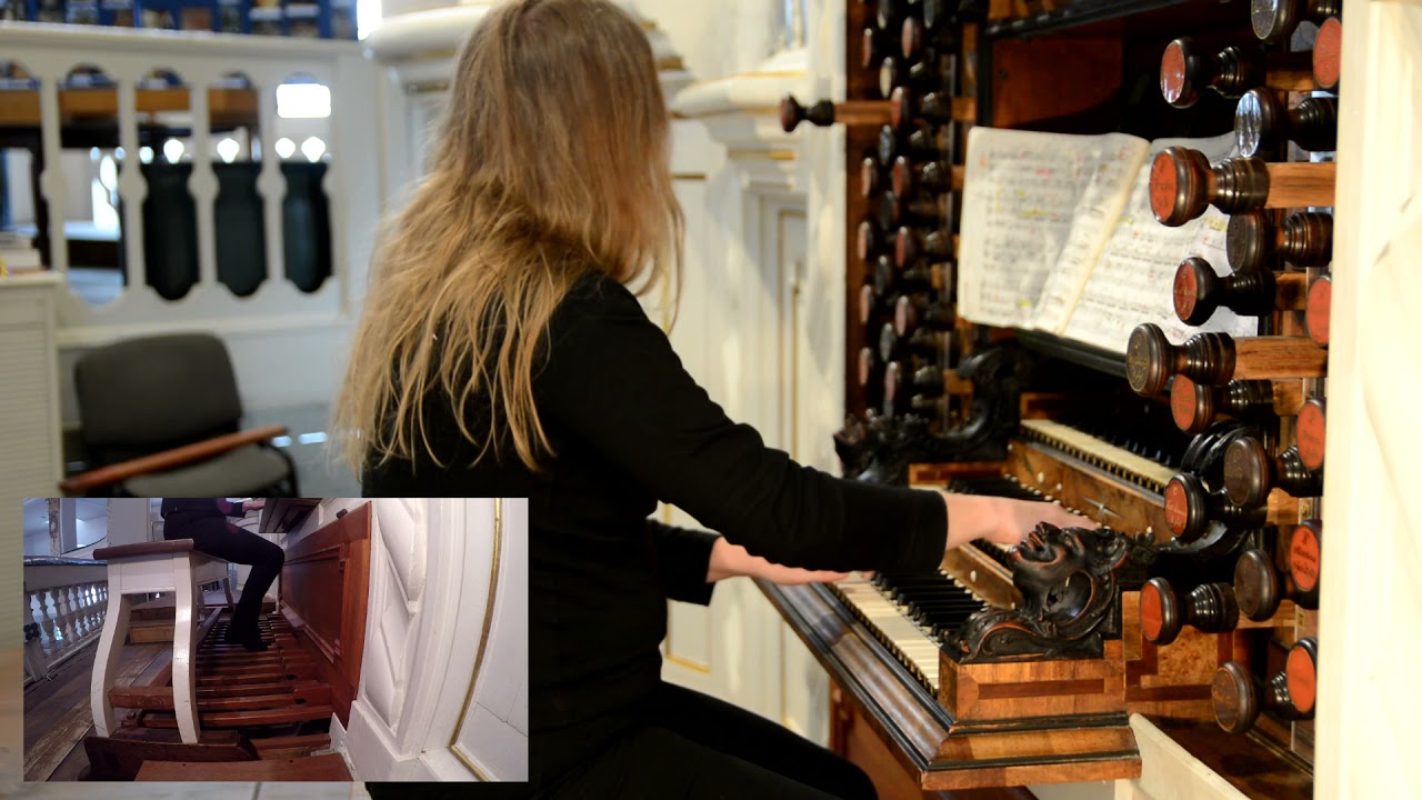 J.S. Bach Trio Sonata D-Minor No 3 BWV 527 Trost Orgel zu Waltershausen Organ