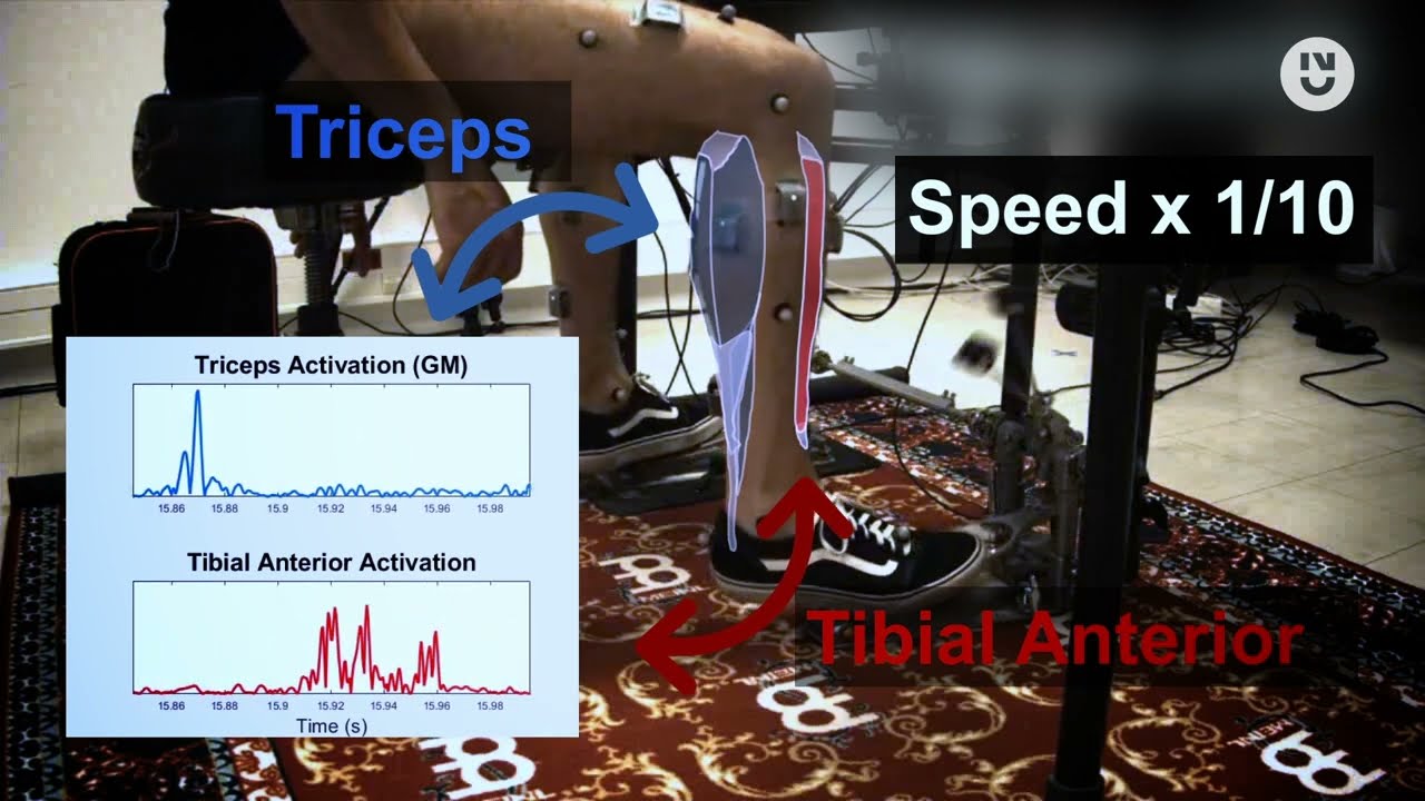 Drums Biomech - The Ankle Technique