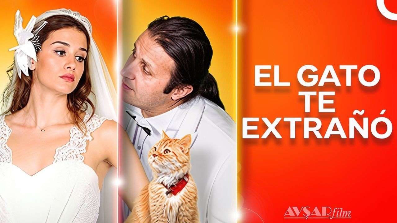Una Comedia Romántica Llena De Intrigas I El Gato Te Extrañó (Doblaje al Español)