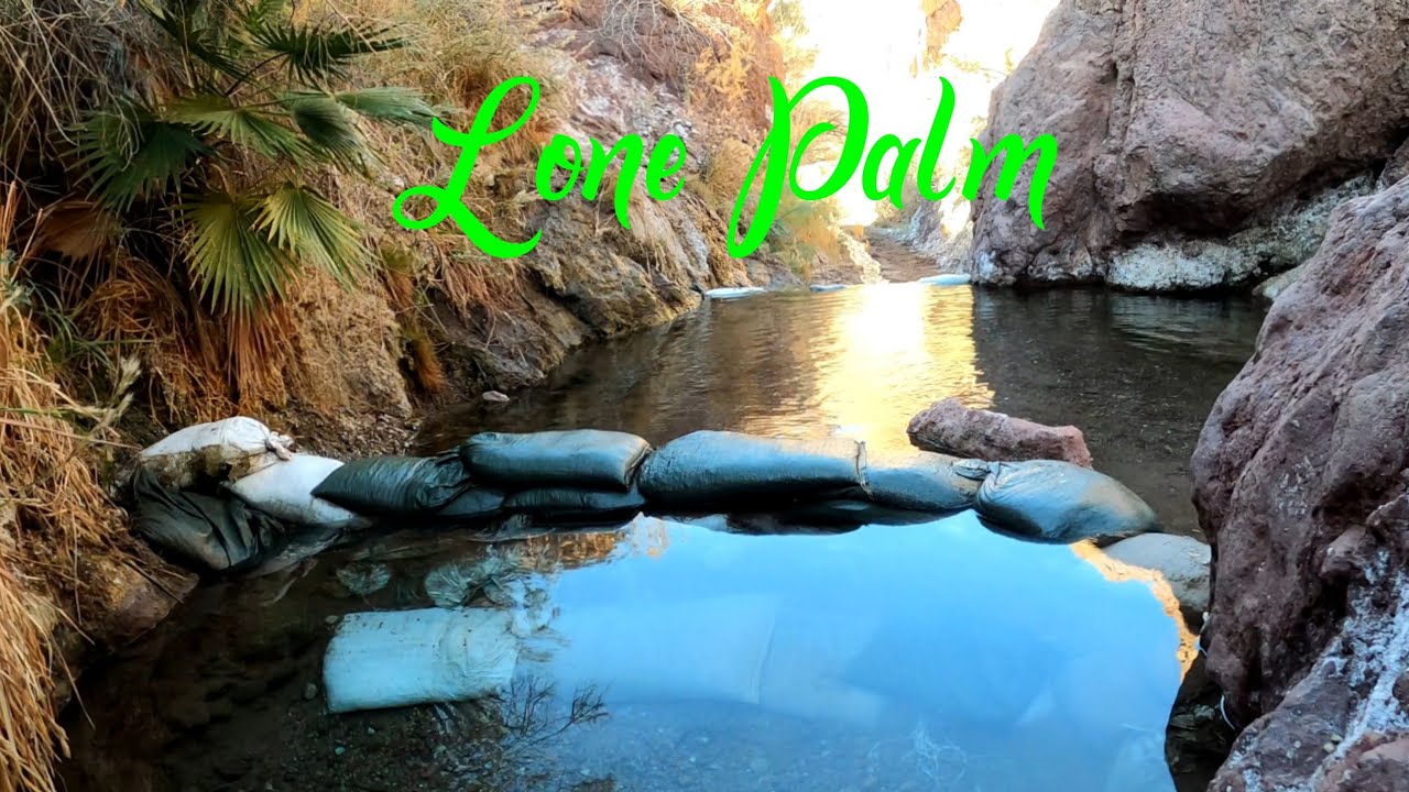 Lone Palm Hot springs, Arizona