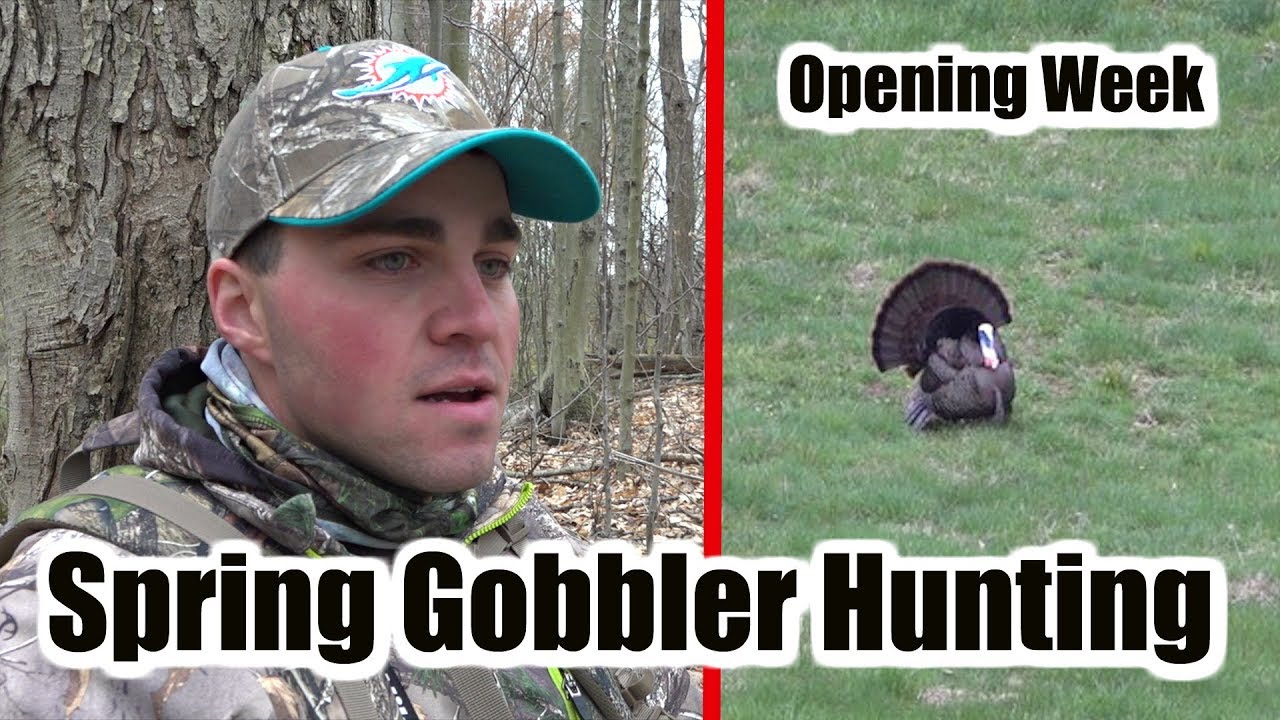 Spring Gobbler Hunting PENNSYLVANIA (Opening Week)