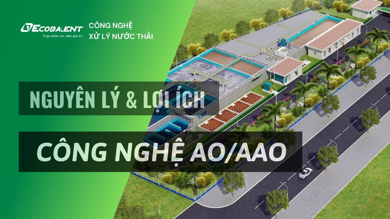 Ecoba ENT | Công nghệ sinh học Yếm khí - Thiếu khí - Hiếu khí (AAO/ AO) trong xử lý nước thải
