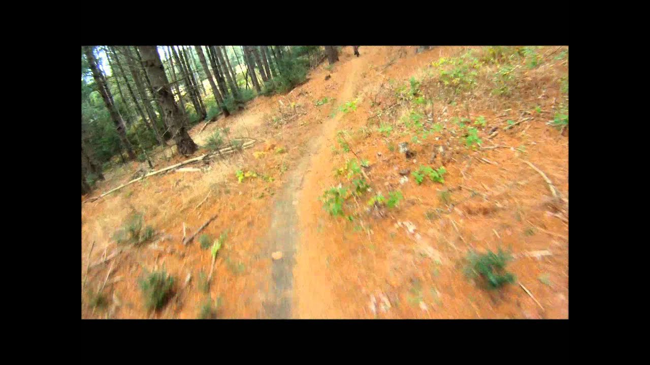 Kingdom Trails riding