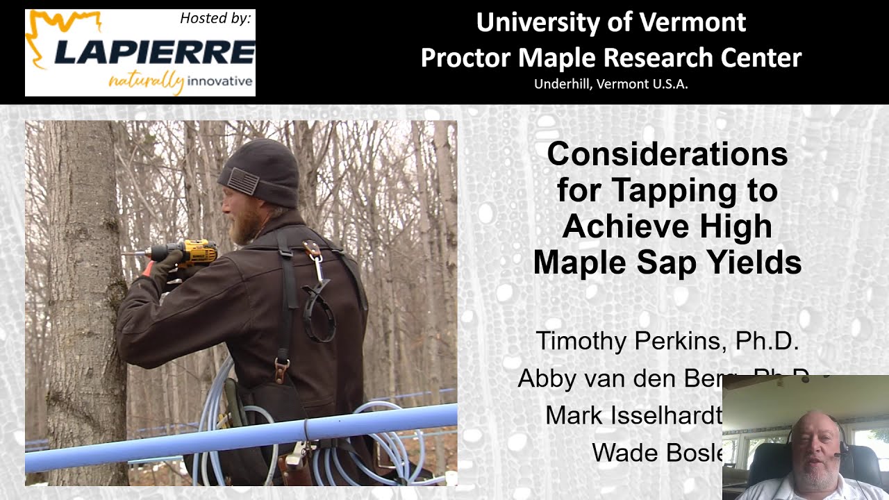 Maximizing Maple Sap Yields