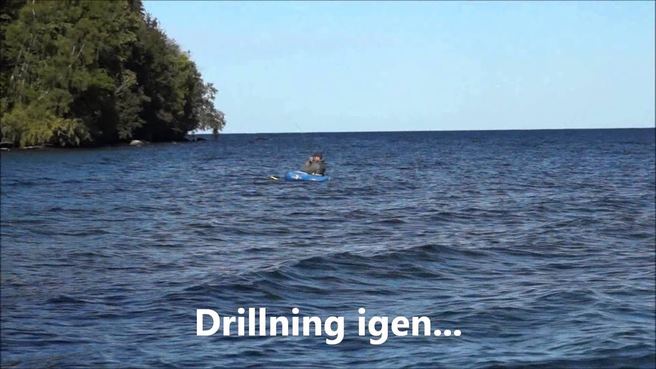 Harrfiske i V&auml;ttern 2015-09-29