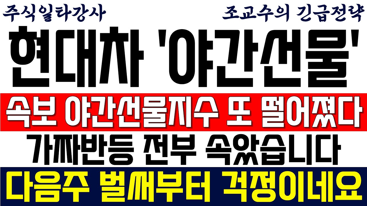 [현대차 주가전망 조교수] 긴급속보 야간선물지수 또 떨어졌다! 가짜반등 전부 속았습니다...다음주 벌써부터 걱정이네요...