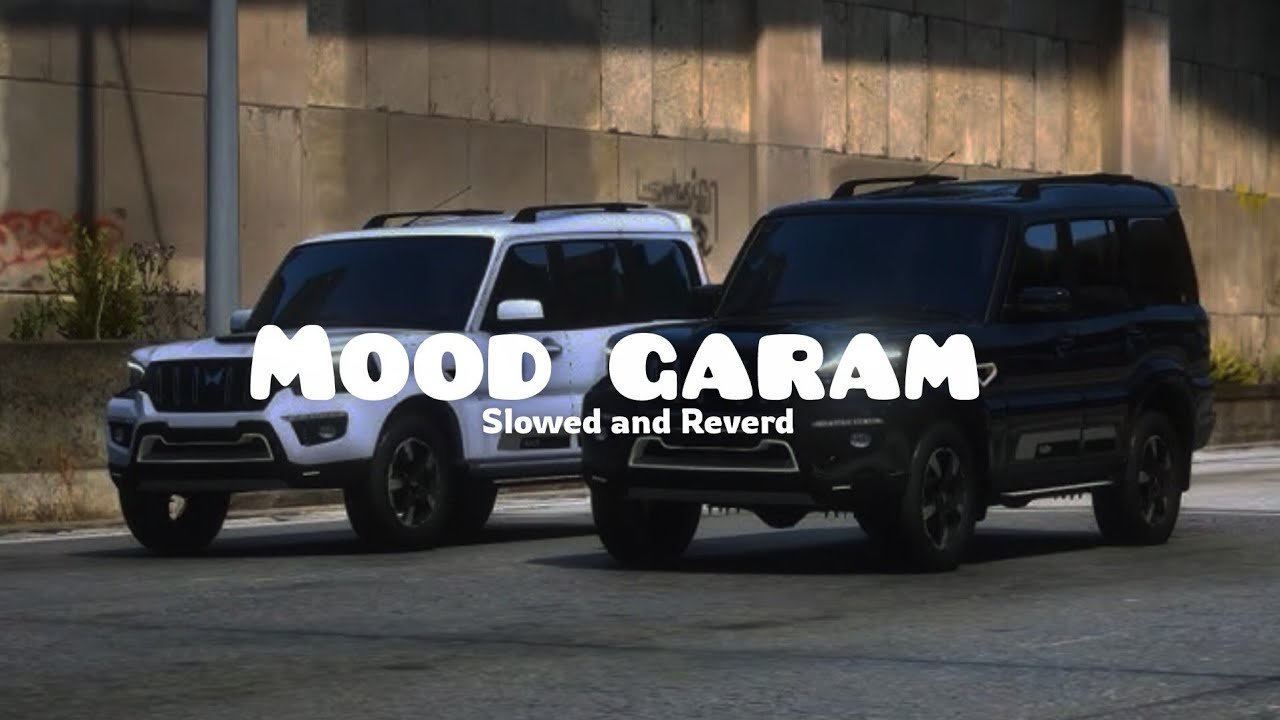Mood Garam || slowed & reverb || Haryanavi song 🎵 || Direct by Ls 