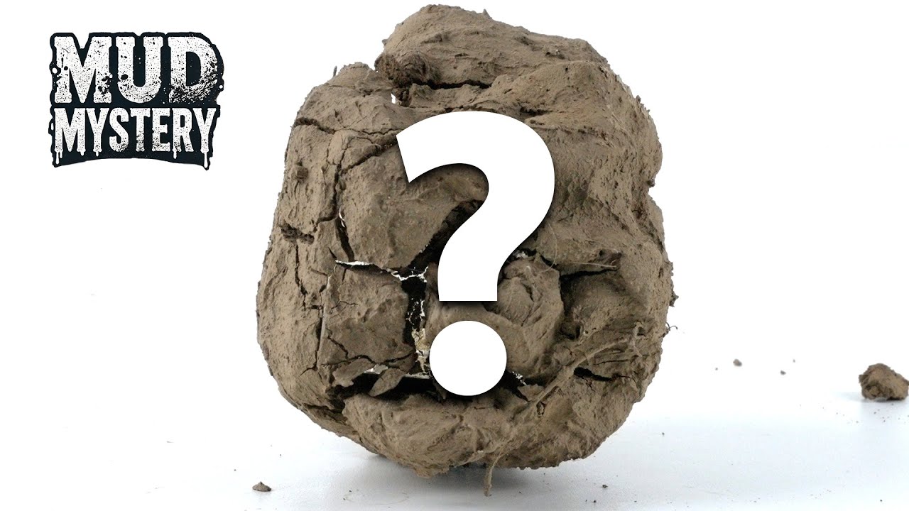MUD MYSTERY!🔍- Guess What's Covered In The Mud!? #9