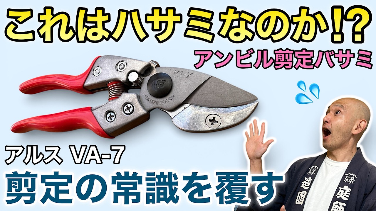【驚くほど軽く切れる】アルスVA-7アンビル剪定バサミをプロが初検証！軽い力で太枝が切れる理由とは？