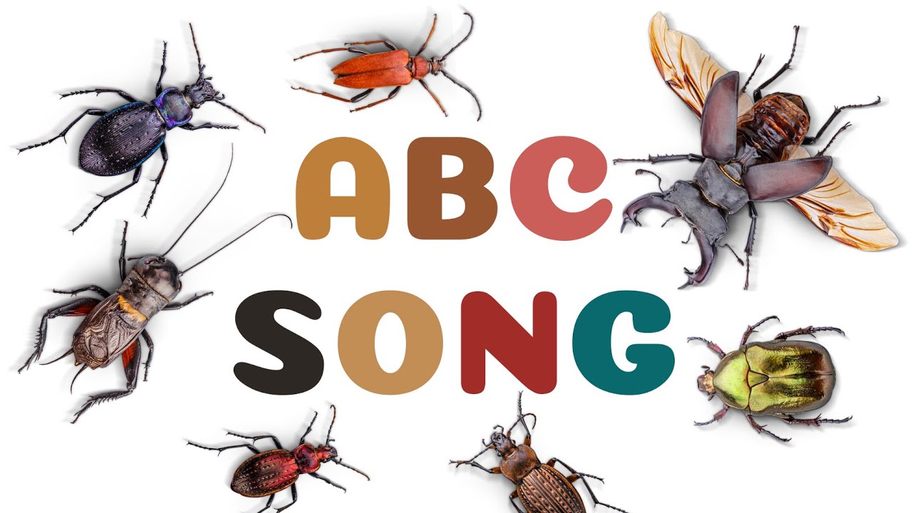 ABC insect song 02