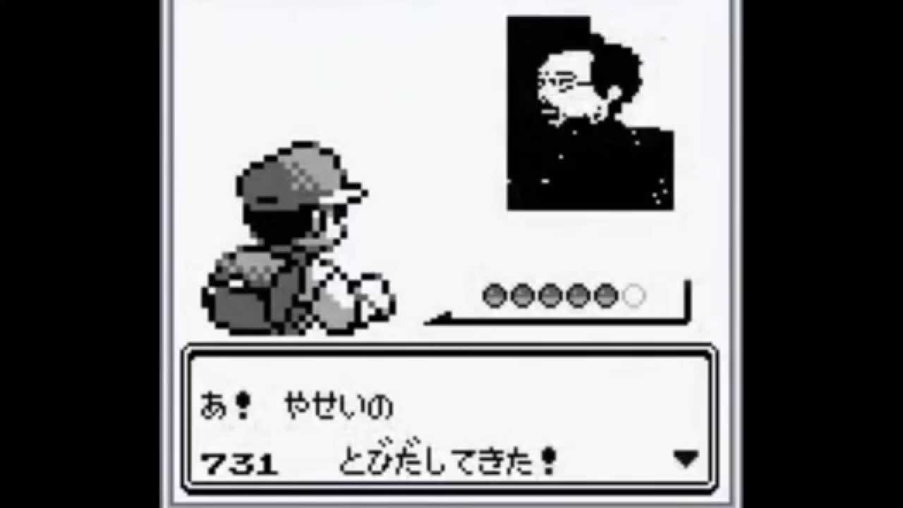 Pok&eacute;mon 731 - Resumen