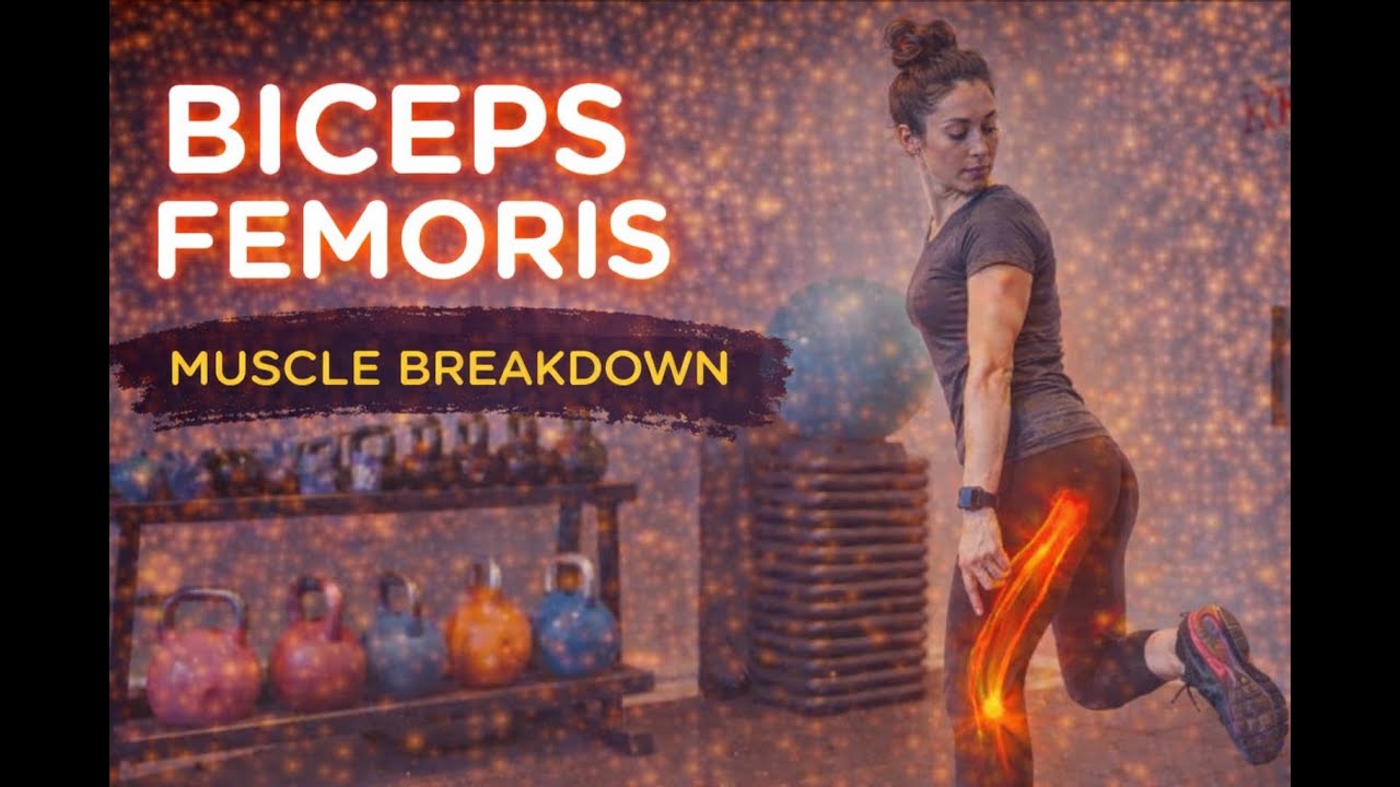 Biceps Femoris Muscle Breakdown | Anatomy, Function & Key Exercises
