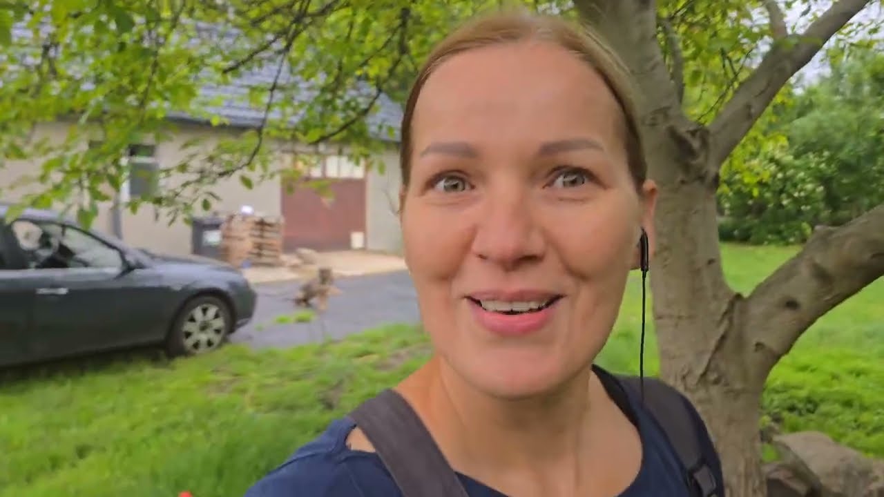 Końcóweczka ocieplenia poddasza z dobrym zszywaczem z leroy + Sadzimy roślinki u Tosiuni + Wierzby