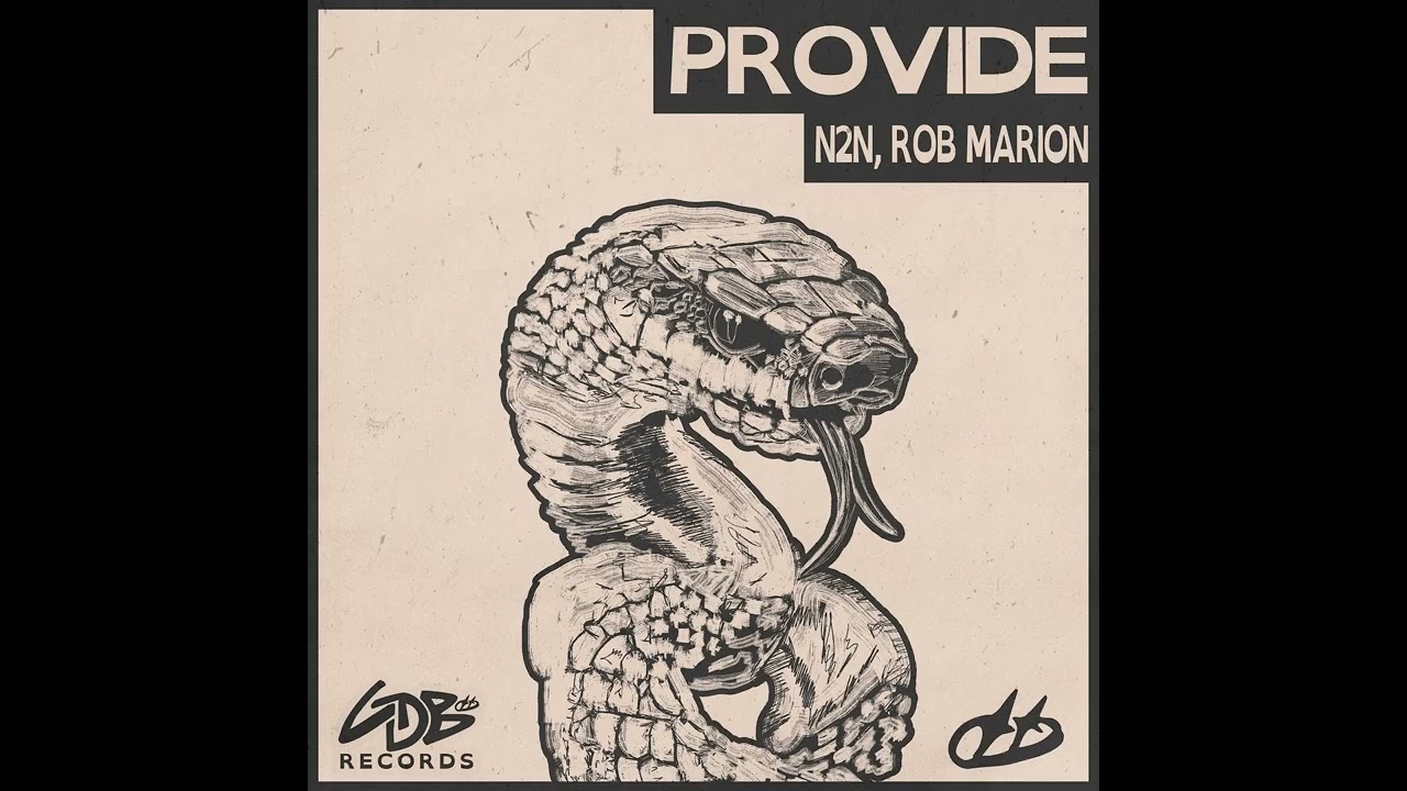 N2N - Provide (Extended Mix)