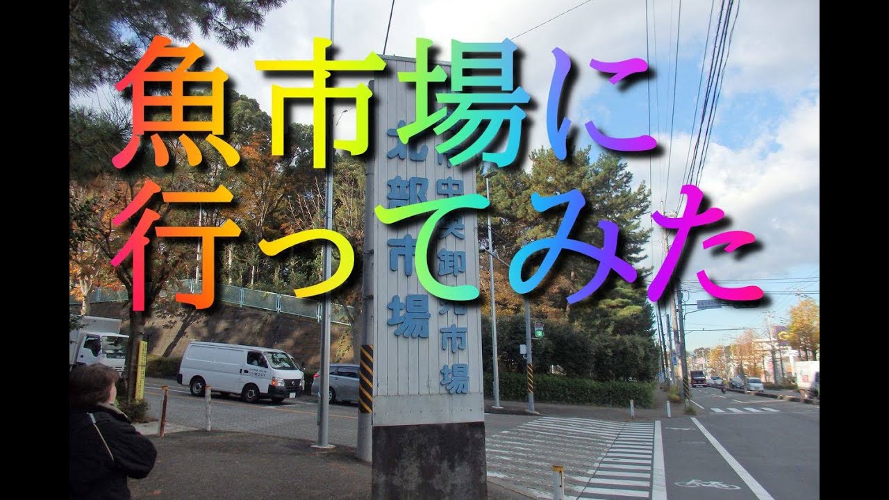 川崎市北部市場に行ってみた！
