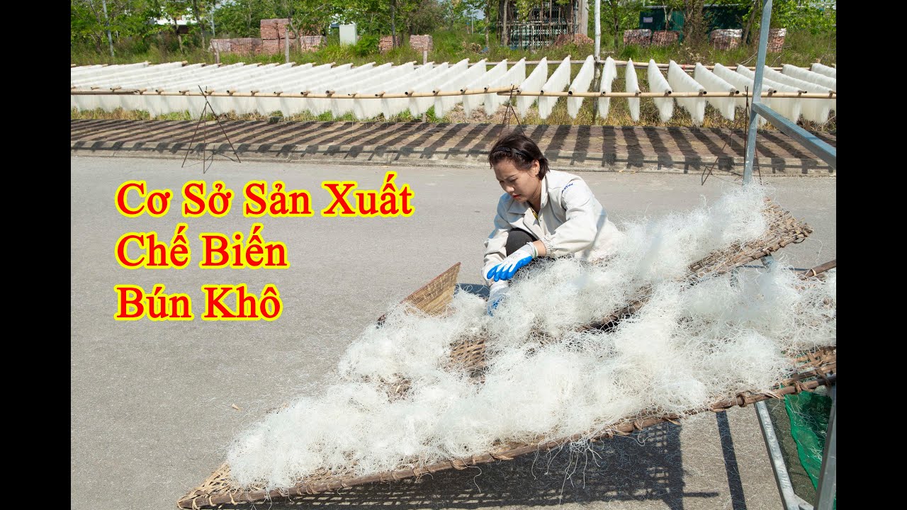 CƠ SỞ SẢN XUẤT VÀ CHẾ BIẾN BÚN KHÔ TẠI LÀNG TRUYỀN THỐNG LỘ CƯƠNG TPHD