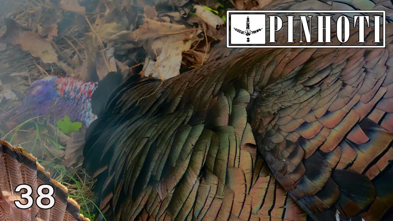 LUCK MATTERS | STAYING with A TOUGH TURKEY | PERSISTENCE puts you in the RIGHT PLACE- Pinhoti 2021