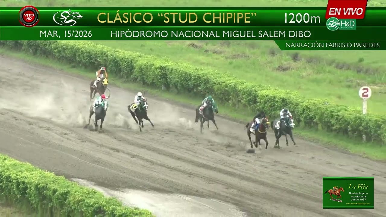 2026-078 Don Naza (Ecu) Cl. Stud Chipipe - mzo. 15, 2026 - Hipód. Miguel Salem D - Revista La Fija