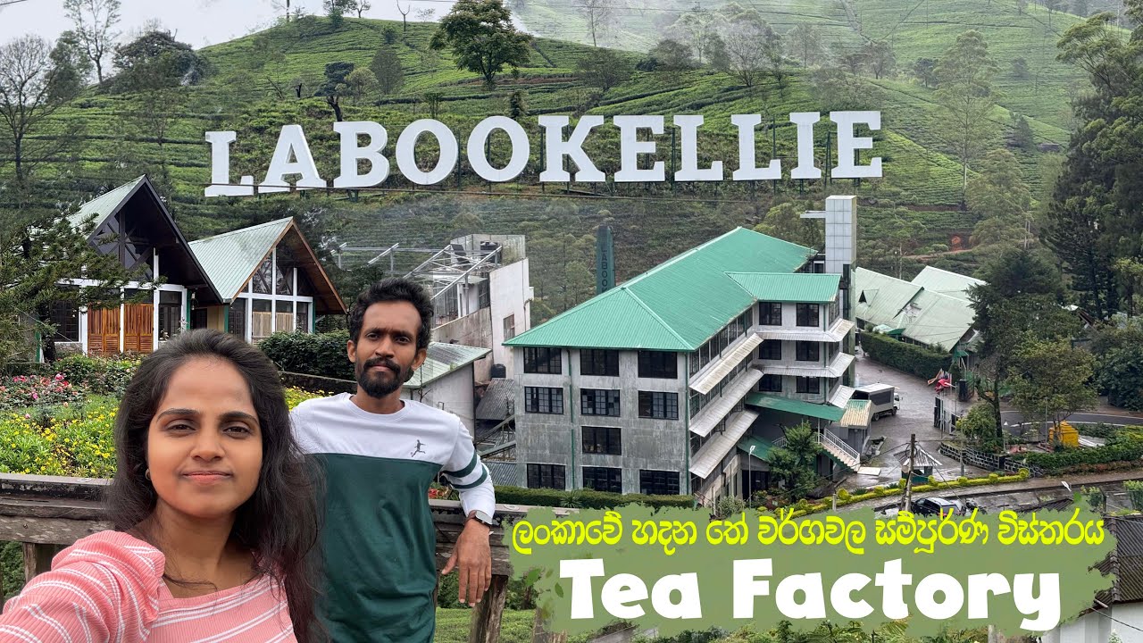 Labookellie Tea Factory | Nuwara Eliya | ලංකාවේ best qulity තේ හැදෙන විදිහ ☕️